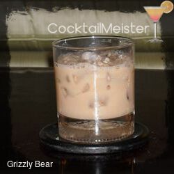 Grizzly Bear